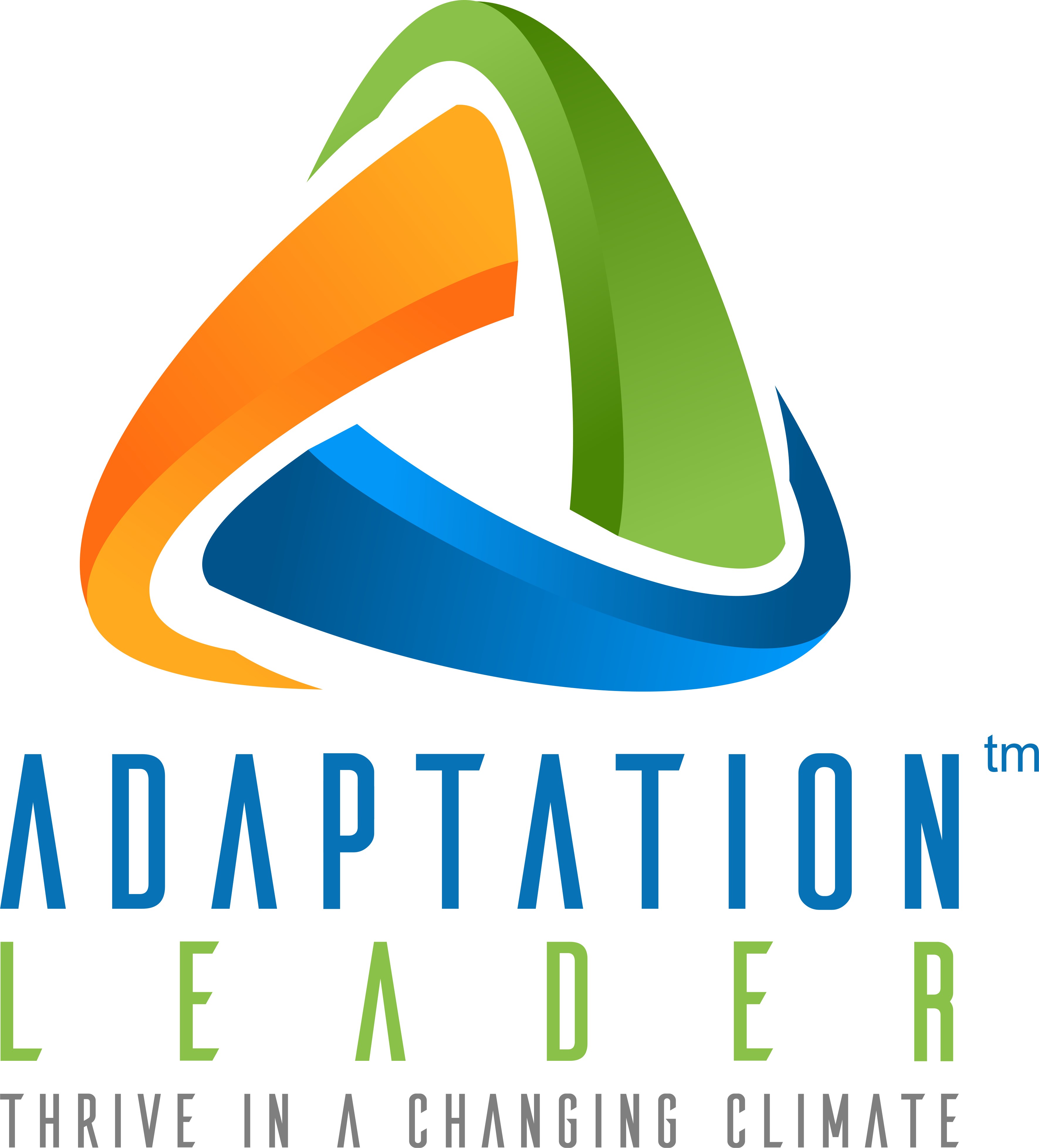 logo adaptation leader